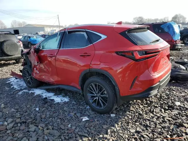 2024 Lexus NX 350H Base