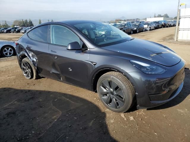 2025 Tesla Model Y