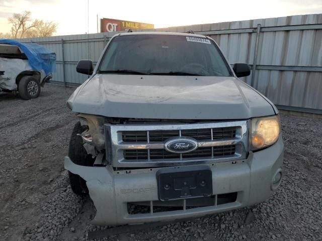 2008 Ford Escape XLT