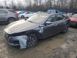 Nissan salvage cars for sale: 2023 Nissan Altima SV