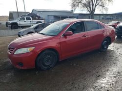 Salvage cars for sale at Albuquerque, NM auction: 2011 Toyota Camry Base