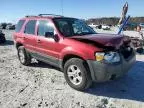 2007 Ford Escape XLT