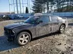 2010 Dodge Charger