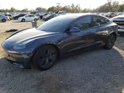 2023 Tesla Model 3 en venta en Riverview, FL