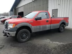 Ford F150 salvage cars for sale: 2010 Ford F150