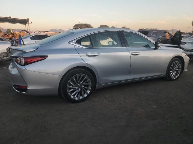 2020 Lexus ES 300H Luxury