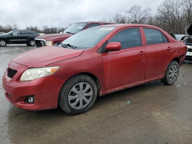 2009 Toyota Corolla Base