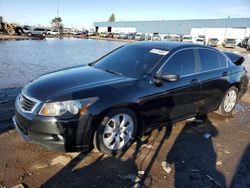 Salvage cars for sale at Woodhaven, MI auction: 2010 Honda Accord EXL