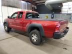 2005 Toyota Tacoma Access Cab