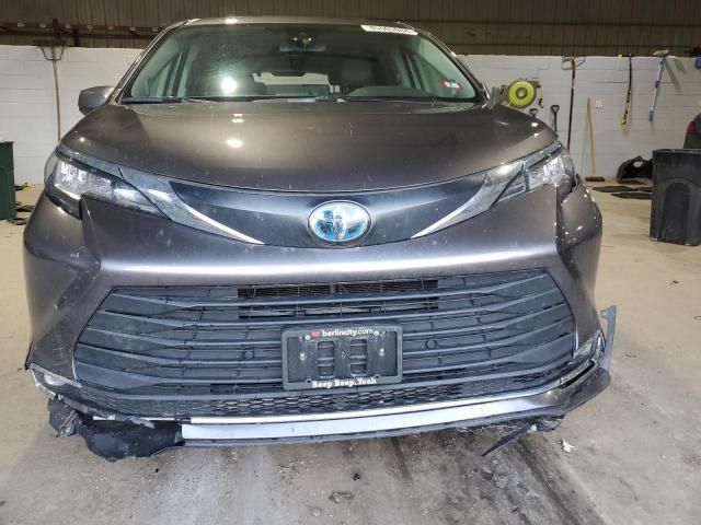 2023 Toyota Sienna XLE