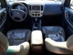 2005 Ford Escape XLT