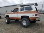 1977 Chevrolet Blazer K10