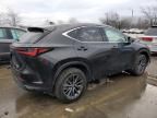 2023 Lexus NX 350H