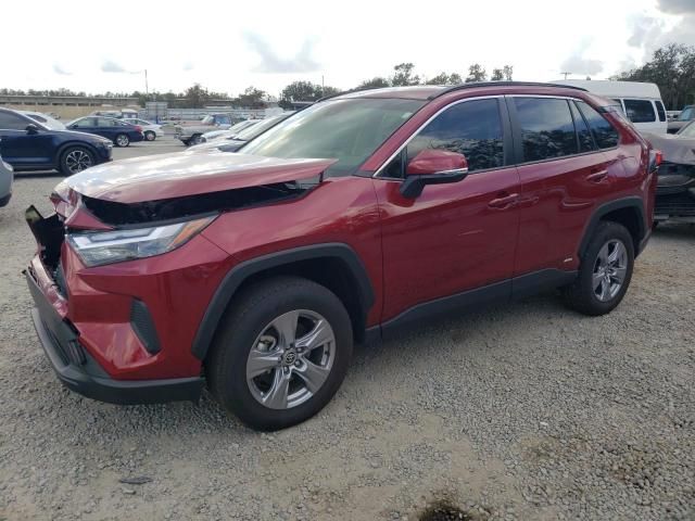 2024 Toyota Rav4 XLE