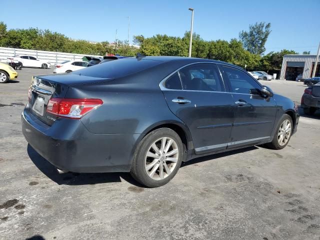 2010 Lexus ES 350