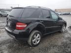 2006 Mercedes-Benz ML 500