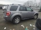 2008 Ford Escape Limited