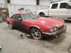 1985 Jaguar XJS