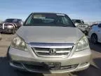 2005 Honda Odyssey EXL