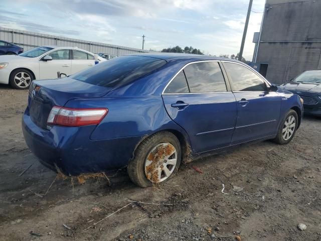 2009 Toyota Camry Hybrid