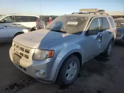 2010 Ford Escape XLT en venta en Brighton, CO