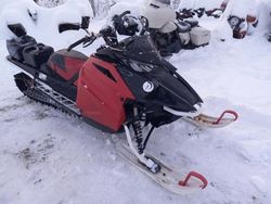 Other Sled Vehiculos salvage en venta: 2021 Other Sled