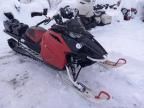 2021 Other Sled