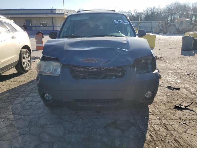 2006 Ford Escape XLT