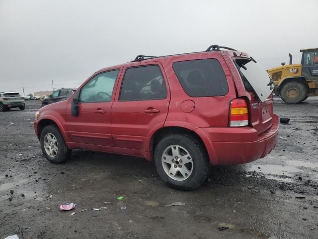 2005 Ford Escape Limited