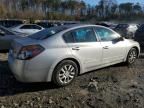 2010 Nissan Altima Base