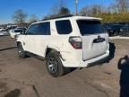 2022 Toyota 4runner SR5/SR5 Premium