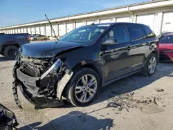 Salvage cars for sale at Louisville, KY auction: 2013 Ford Edge Sport