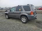 2005 Ford Escape XLT