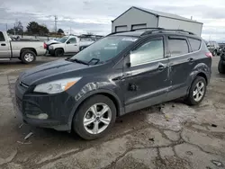 Ford salvage cars for sale: 2014 Ford Escape SE