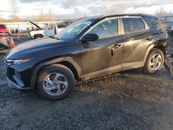 Hyundai salvage cars for sale: 2024 Hyundai Tucson SEL