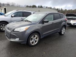 Ford salvage cars for sale: 2015 Ford Escape SE