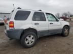 2003 Ford Escape XLT