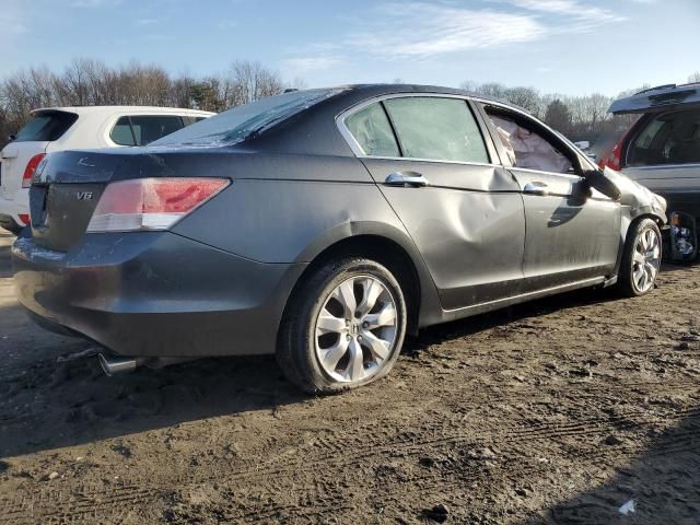 2010 Honda Accord EXL