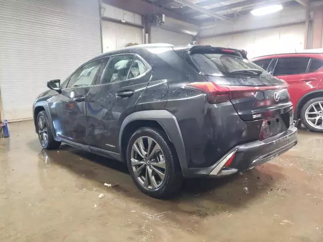 2021 Lexus UX 250H