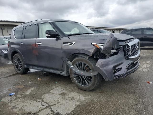 2023 Infiniti QX80 Luxe