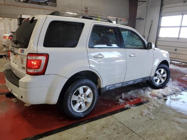 2010 Ford Escape Limited