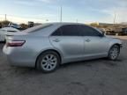 2009 Toyota Camry Hybrid