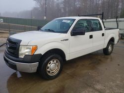 Ford salvage cars for sale: 2013 Ford F150 Supercrew