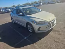 Hyundai Elantra salvage cars for sale: 2017 Hyundai Elantra SE