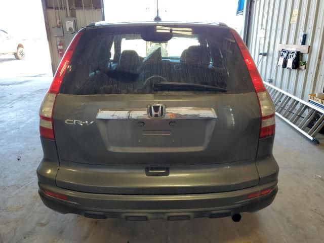 2010 Honda CR-V EXL