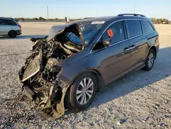 Salvage cars for sale at New Braunfels, TX auction: 2016 Honda Odyssey EXL