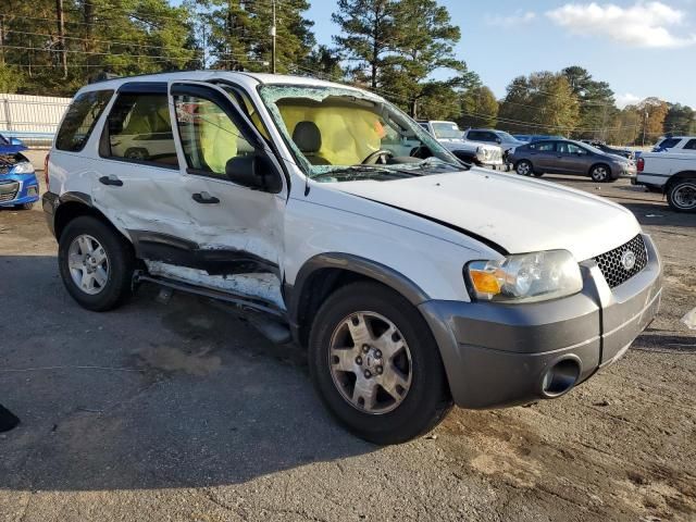 2006 Ford Escape XLT