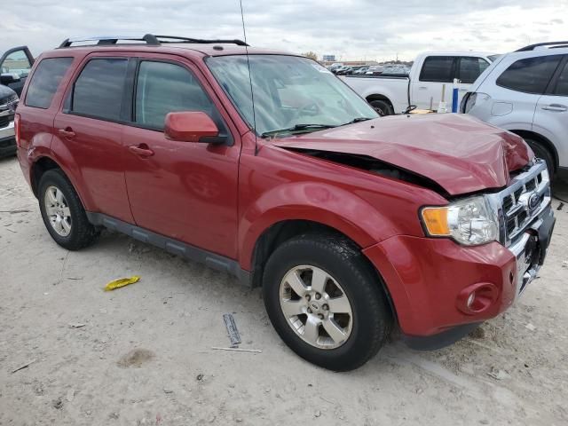 2011 Ford Escape Limited