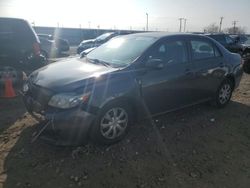 Toyota salvage cars for sale: 2010 Toyota Corolla Base