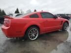 2007 Ford Mustang GT